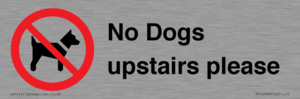 No Dogs upstairs please 